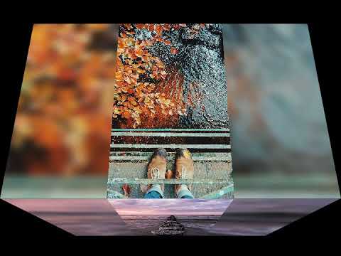 František Nedveď ml  vracim se