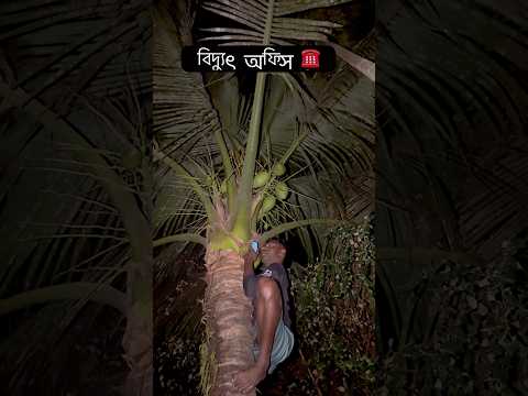 বিদ্যুৎ অফিস || Top best funny video  #funnyvideos #shorts #newreel #visualreel #officalvideo #fun