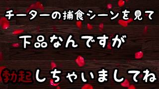 【Minecraft】みんなでレルム！！第13回