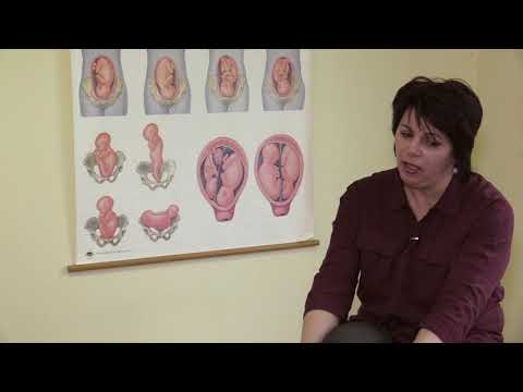 Új sorozatunk első részében a családtervezés témakörét járjuk körül