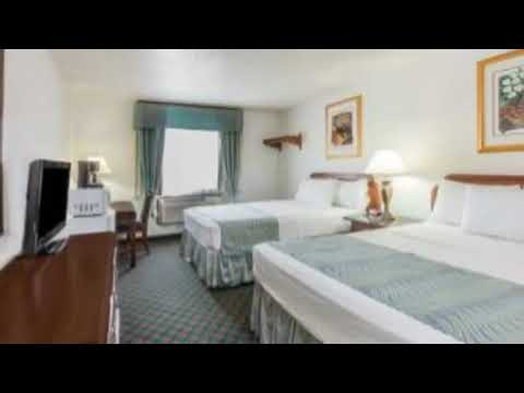 Super 8 Irving DFW Airport/South - Irving Hotels, Texas