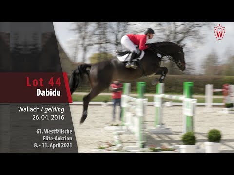 61. Elite Auction Training Video Lot 44 Dabidu Wallach v. Dibadu L - Quincy