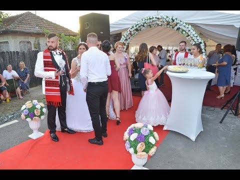 14 PRIMIREA invitatilor la cort   -   Nunta  -  Live!
