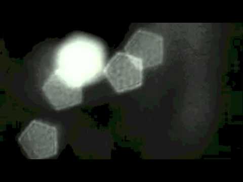 One Night in Paris part 2