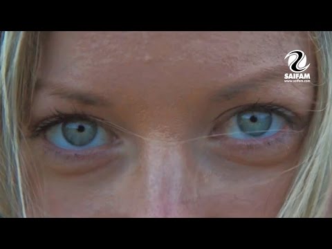 Steven Nicola & Dögun - Too Much (Official Video)