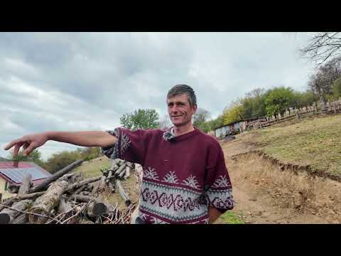 De 20 de ani trăiește singur în munți | L-am găsit pe „fratele” lui Laurențiu 🏞️🧍