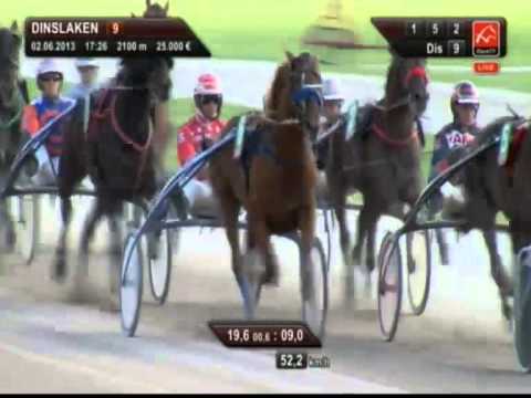 Großer Preis der NRZ 2013 Sieger Lindo Eden