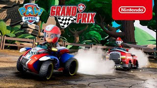 Игра Paw Patrol: Grand Prix - Complete Edition (Nintendo Switch)