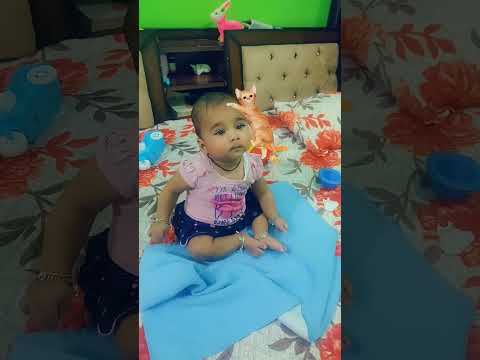 cute cat 🐈 #viral #shorts #funny #ytshorts