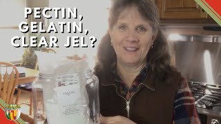 Home Canning: Pectin, Gelatin, or Clear Jel?