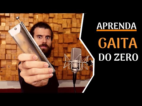 TUDO QUE VOCÊ PRECISA SABER PARA TOCAR GAITA DO ZERO: Noções básicas para aprender gaita cromática