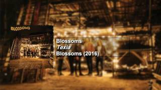 Blossoms - Texia