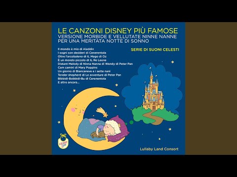 È un mondo piccolo (Di "IL Re Leone")