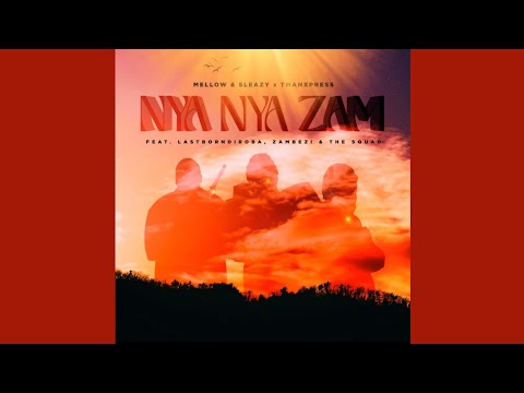 Mellow & Sleazy, Tman Xpress Nya Nya Zam (Official Audio) feat. LastBornDiroba, Zambezi, The Squad