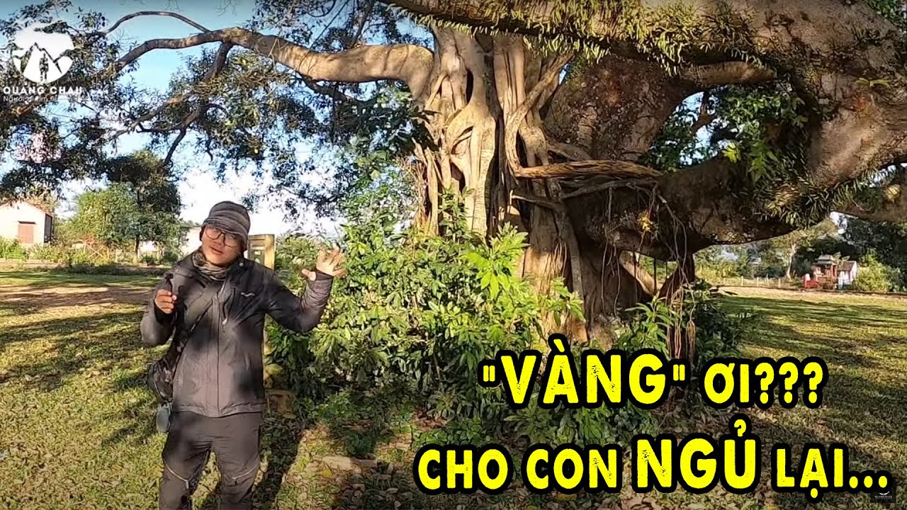 “Thần Linh Tây Nguyên” không cho ngủ ở bản làng Hồ Lak | DakLand 4