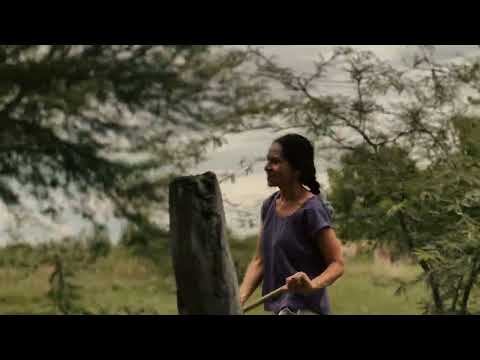 Gallinero de Jovita Moya en Federal Entre Rios