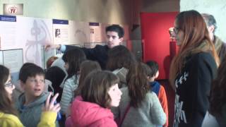 preview picture of video 'Visita a Alcácer do Sal com o 5º B e 5º E em 03-12-2014'