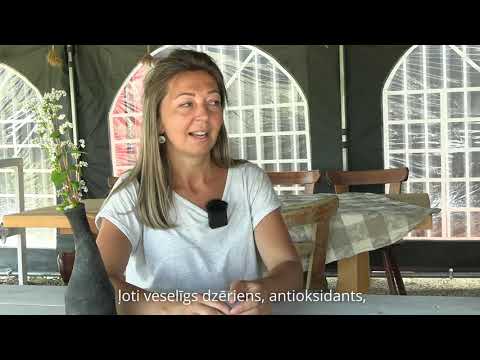 Z/S “Liepkalns” Ilzeskalna pagastā - laureāts nominācijā "Gada VIP (vietējās identitātes produkts)"