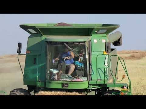 Barley and canola with 4 combines!!