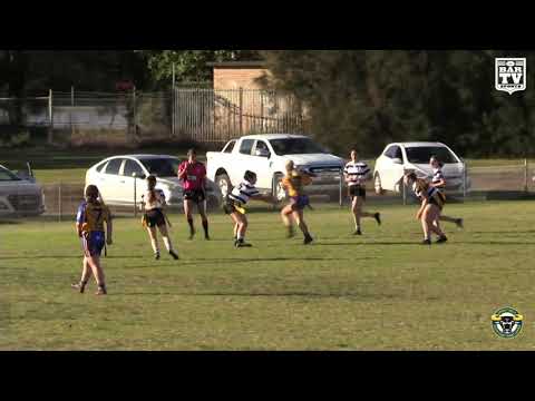2019 Group 7 LLT Division 2 Round 12 Highlights - Warilla Gorillas vs Berry-Shoalhaven Heads Magpies