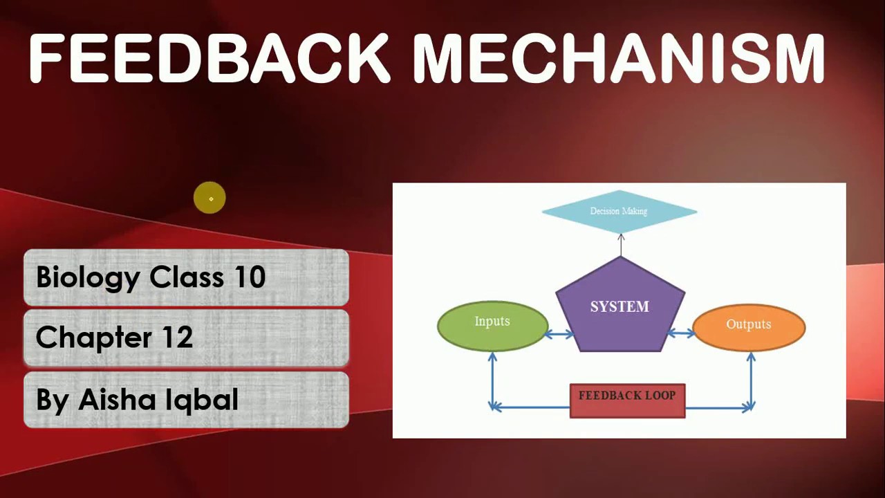 Feedback Mechanism