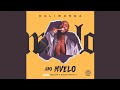 Daliwonga Abo Mvelo Official Audio Ft Mellow Sleazy MJ