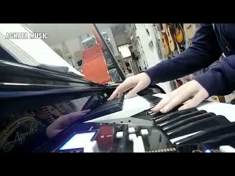 AC500 Órgãos eletrônicos Digital Acordes e Aghata Music!