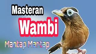 Download lagu Edaan Masteran Wambi  gacor volume tembus mp3