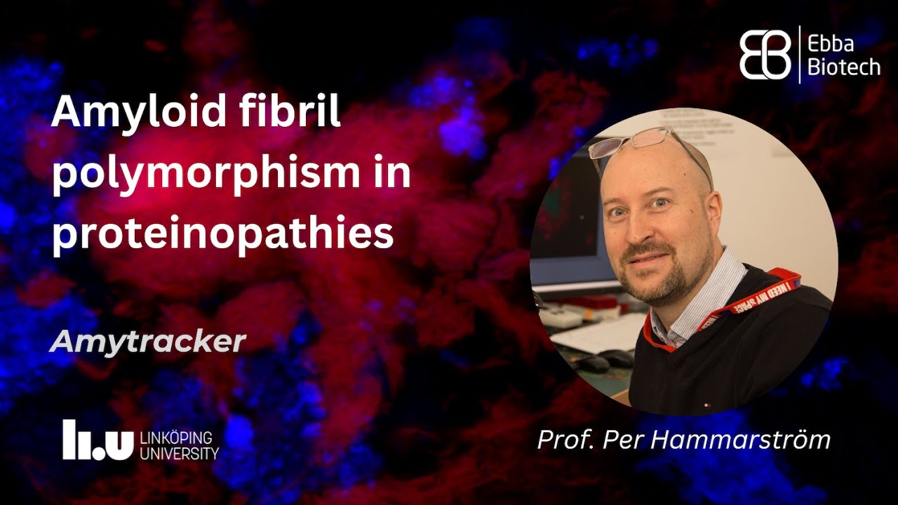 Amyloid fibril polymorphism in proteinopathies