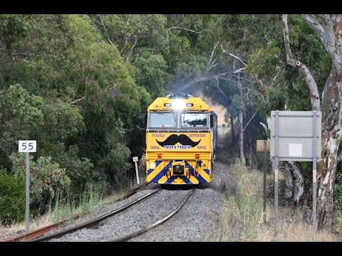 The First Great Southern Rail Overland Service 2021 1AM8 with Pacific National NR66 Movember livery