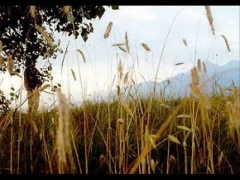 Anna Kasáčova - To pole keby bolo moje.wmv