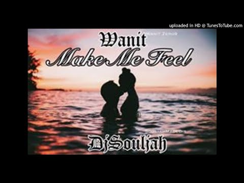 MAKE ME FEEL X WANIT X DJ SOULJAH