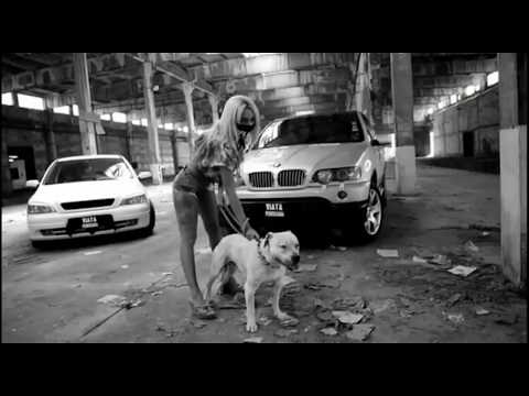 Viata Periculoasa CLAN ( Video )