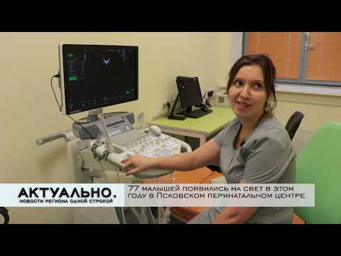 Актуально Псков / 13.01.2022