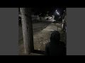 Zero Iq Freestyle