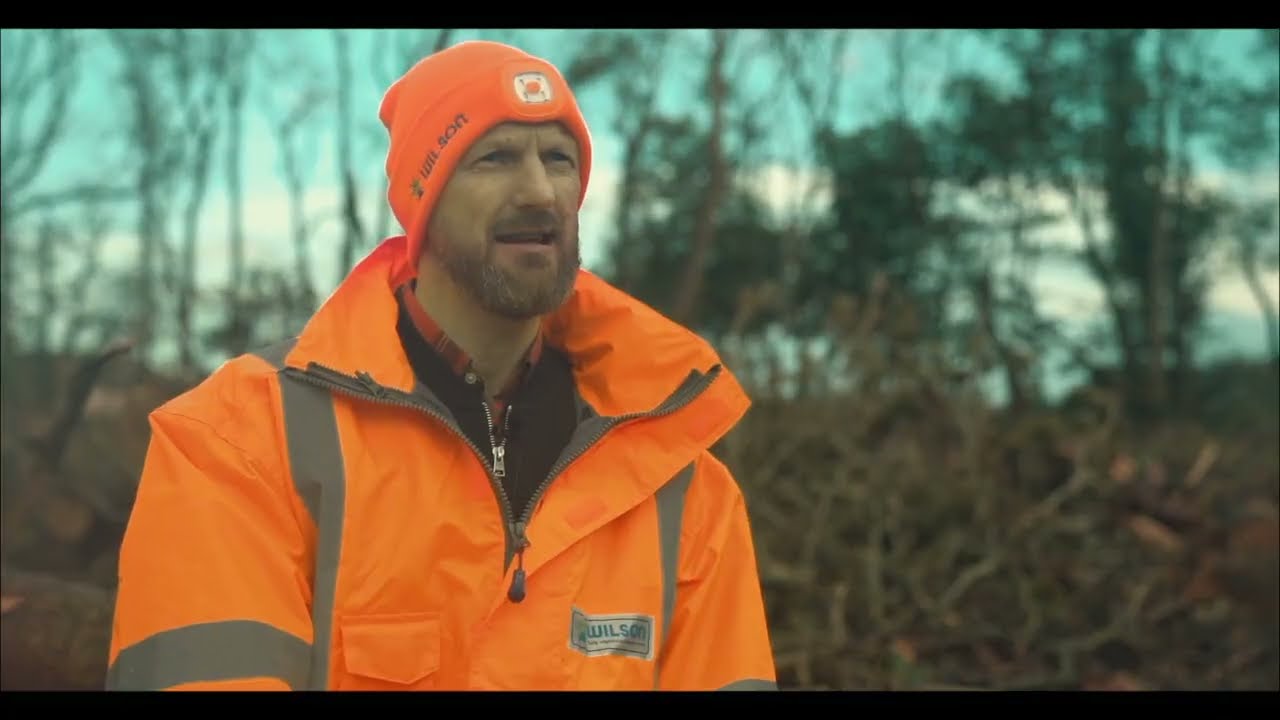 We are Wilson Tree Surgery