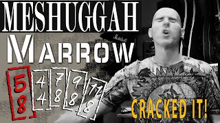 MESHUGGAH MARROW-The REAL Way to Count It