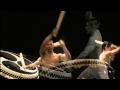 DADAN - Tambours de Kodo