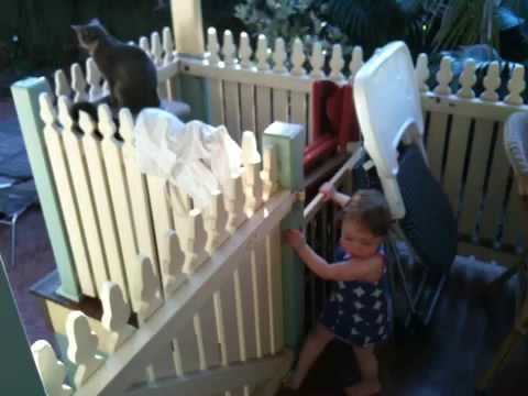 Roisin trying to get the cat