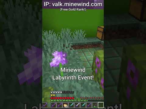 Escape the Dark Moon Valkyrie Minecraft Labyrinth Event on Minewind!