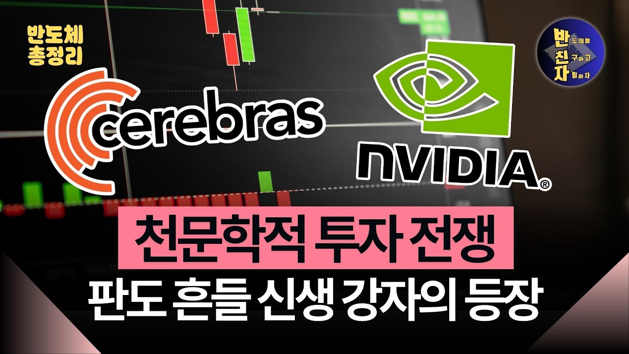 220조 쏟아붓는 엔비디아와 흑자 전환한 대항마