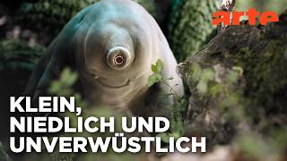 Bärtierchen - Winzig, aber hart im Nehmen | Doku HD Reupload | ARTE