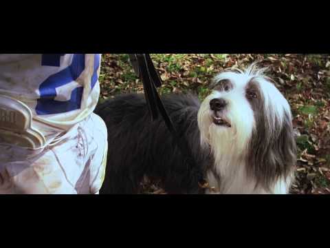 YouTube Trailer