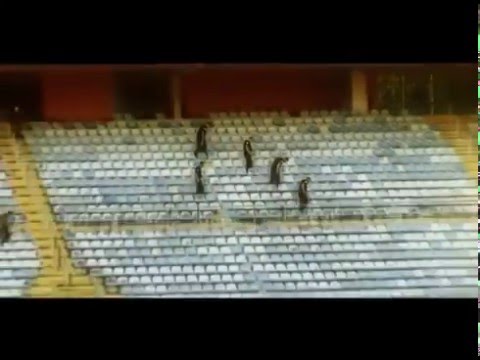 Bad Blue Boys DVD 2005 - 2006