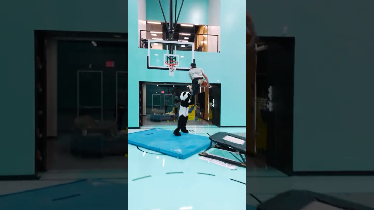 Panda got absolutely POSTERIZED 🐼