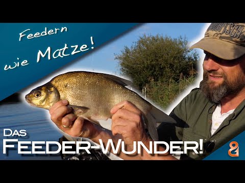 Feedern wie Matze Koch! Das Feeder-Wunder!