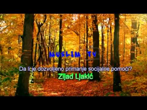 Da li je dozvoljeno primanje socijalne pomoći - mr. Zijad Ljakic