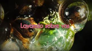 Joji feat. Yves Tumor - Reanimator (Subtitulado en español)