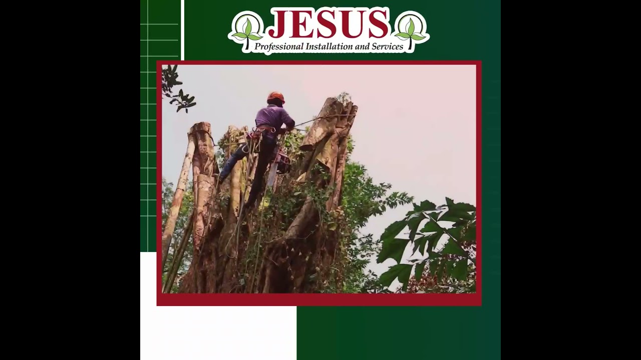 Reliable Tree Services