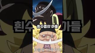 해군대장 료쿠규의 10가지 특징